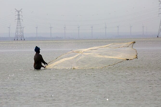 1 Night Fishing Village Experience In Kalpitiya From Colombo - Who Would Love This Tour?