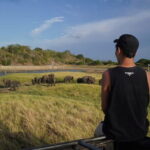 10 Days 5 Star Package Sri Lankas Best Seller - Detailed Breakdown of the Tour Experience