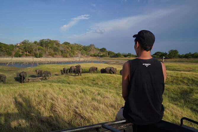 10 Days 5 Star Package Sri Lankas Best Seller - Detailed Breakdown of the Tour Experience
