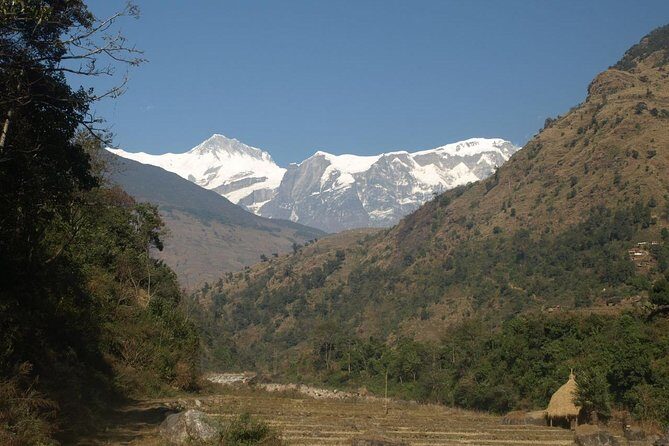 10 Days Annapurna Sikles Village Homestay Hike - Final Thoughts: Who Will Love This Trek?