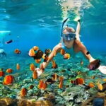 10 Days The Best of Bali Gilis and Nusa Penida Island Experience - Day 3 & 4: Waterfalls, Volcanoes, Rice Terraces & Monkey Forests