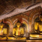 10 Days Travel in Sri Lanka with Accommodation - Who Is This Tour Best For?