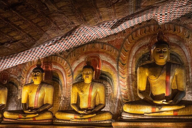 10 Days Travel in Sri Lanka with Accommodation - Who Is This Tour Best For?