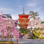 10 Hour Private Customizable Tour to Kyoto from Osaka - Who Is This Tour Best For?