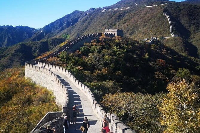 11-Day Private Tour to Beijing,Datong,Pingyao,Xi'an,Luoyang and Chengdu - Why This Tour Works for You