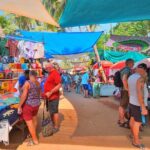 11 Days Private Transport Golden Triangle Tour with Goa - Final Thoughts: Who Should Consider This Tour?
