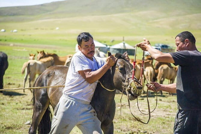 12 Days Gobi Desert and Express Mongolia - Who Will Love This Tour?