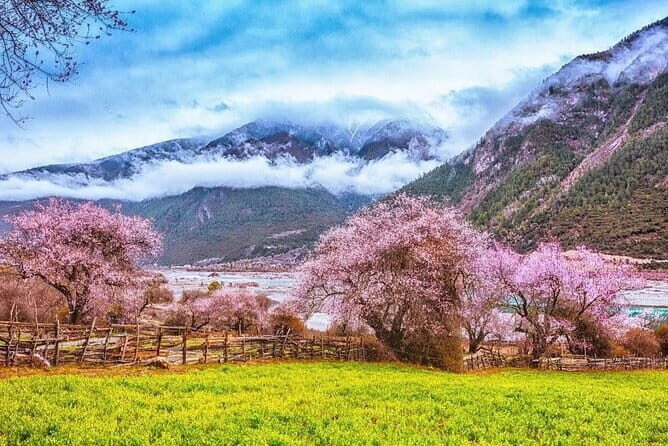 13 Day Nyingchi Peach Blossom Festival Tour - Final Thoughts