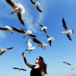 13-day Tour: Essence of Southwest China - Transport and Logistics: How It Works