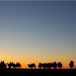 14-Day Private Tour from Gobi Desert to Steppe with Meals - What’s Included and What to Keep in Mind
