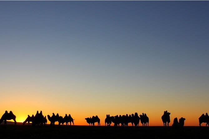 14-Day Private Tour from Gobi Desert to Steppe with Meals - What’s Included and What to Keep in Mind
