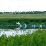 14 Days Eastern Mongolia  Birthplace of Great King Tour - The Sacred and the Historic: Uglugchiin Kherem and Beyond