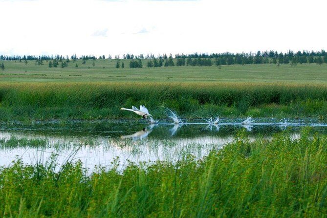 14 Days Eastern Mongolia  Birthplace of Great King Tour - The Sacred and the Historic: Uglugchiin Kherem and Beyond