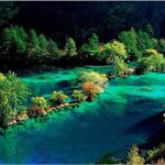 16-Day China Tour from Sichuan to Chongqing, Yunnan and Guangxi - The Best Fit for This Tour