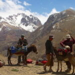 16 Days Hunza Shimshal Pass Trek Manglik Sar 6050M Tour - Summary & Who Should Consider This Tour
