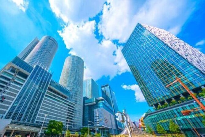 1Day Private Tour for All Around Nagoya by Public Transportation - Practical Insights on the Tour