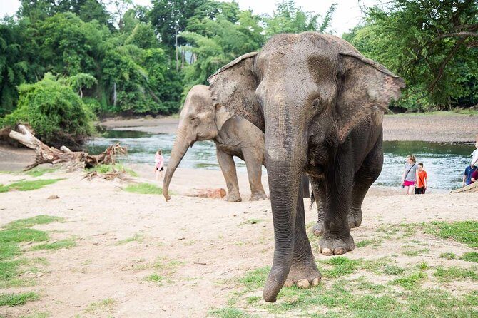 2 day 1 night Elephant World Kanchanaburi from Bangkok - Value and Cost Analysis