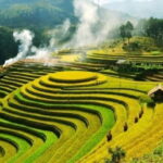 2 Day 1 Night Tour to Pu Luong Nature Reserve - What Makes This Tour Stand Out?