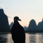 2-Day Guilin Photography(Sunrise and Sunset) Private Tour - Daily Itinerary Breakdown
