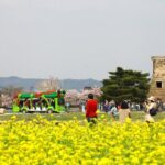 2-Day Gyeongju Rail Tour from Seoul - Day 2: Optional Exploration and Scenic Return