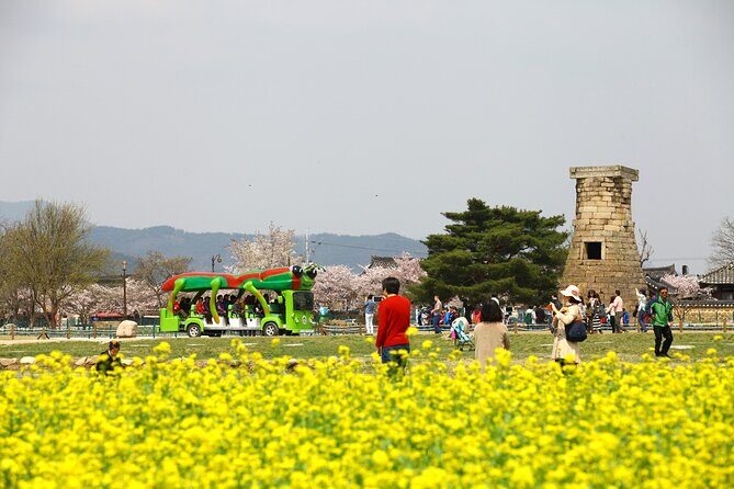2-Day Gyeongju Rail Tour from Seoul - Day 2: Optional Exploration and Scenic Return
