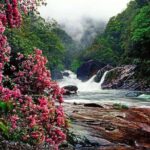 2-Day Mountain Wuyi Private Flexible Tour from Shanghai by Bullet Train - What Reviewers Say