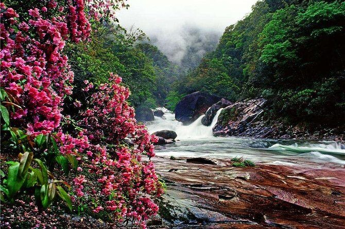 2-Day Mountain Wuyi Private Flexible Tour from Shanghai by Bullet Train - What Reviewers Say
