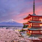 2-Day Private Tokyo MT Fuji Hakone Sightseeing Tour with Guide - What We Loved and What to Consider