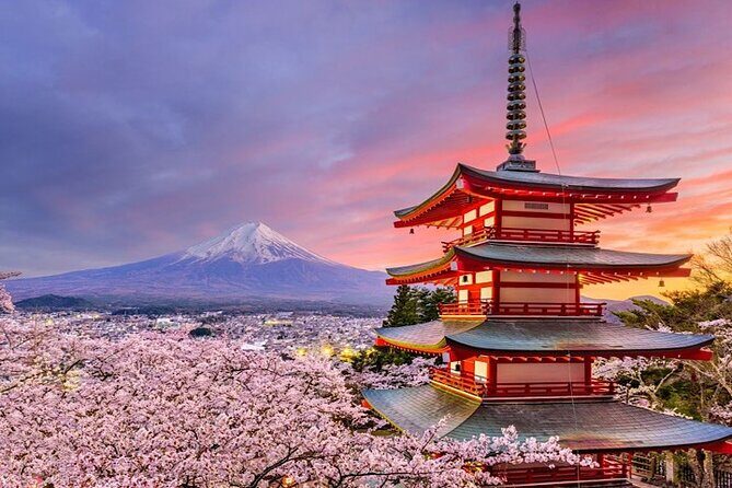 2-Day Private Tokyo MT Fuji Hakone Sightseeing Tour with Guide - What We Loved and What to Consider
