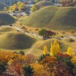 2-Day Rail Tour to Gyeongju and Busan from Seoul - Transportation and Logistics