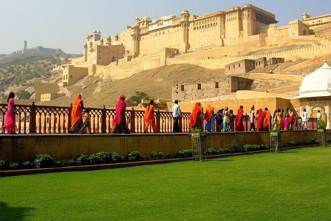 2-Day Ranthambore National Park Tour From Jaipur - The Value Proposition