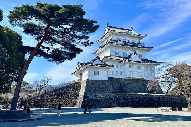 2 Day Tokyo Mt. Fuji Hakone Odawara castle Kamakura, Onsen Ryokan - Authentic Experiences and Tips