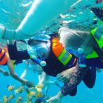 2 day tour and snorkel to meet Manta Rays in Nusa Penida - Practical Details and Value