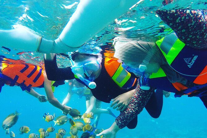 2 day tour and snorkel to meet Manta Rays in Nusa Penida - Practical Details and Value