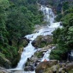 2 Day Tour To Sinharaja Rain Forest & Udawalawa From Galle - Practical Details and What to Expect