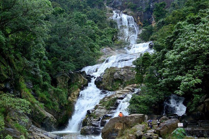 2 Day Tour To Sinharaja Rain Forest & Udawalawa From Galle - Practical Details and What to Expect