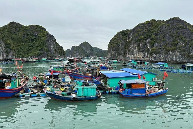 2 Days 1 Night Explore Lan Ha Bay & Cat Ba Island from Hanoi - Areas to Consider