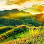 2 days 1 night Sapa trekking at 4 star hotel - What Makes This Tour Stand Out?