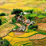 2 days 1 night Sapa trekking group tour at homestay - Who This Tour is Perfect For