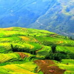 2 Days 1 Night Sapa Trekking Homestay from Sapa - Who Will Love This Tour?