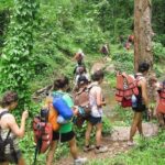 2 DAYS 1NIGHT Join Jungle Trek in Huay Nam Dung National Park - What Sets This Tour Apart