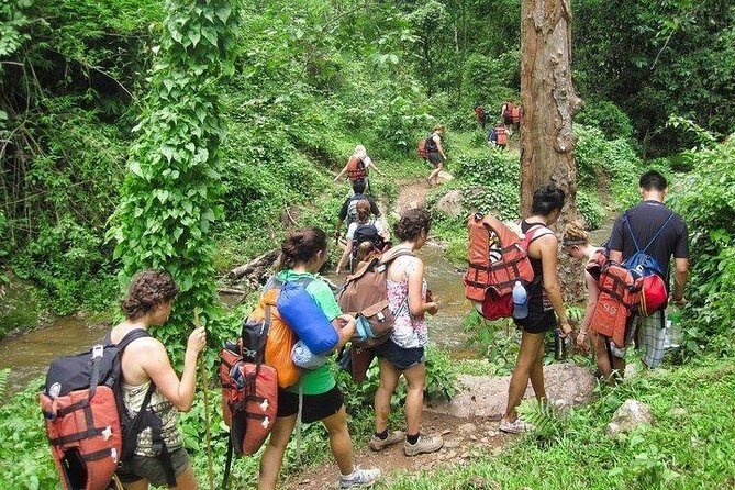 2 DAYS 1NIGHT Join Jungle Trek in Huay Nam Dung National Park - What Sets This Tour Apart
