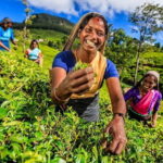 2 Days All inclusive Kandy and Nuwara Eliya Tour from Colombo - A Deep Dive into the 2-Day Itinerary