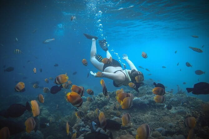 2 Days and 1 Night Private Tour with Snorkeling in Nusa Penida - What Travelers Will Love About This Tour