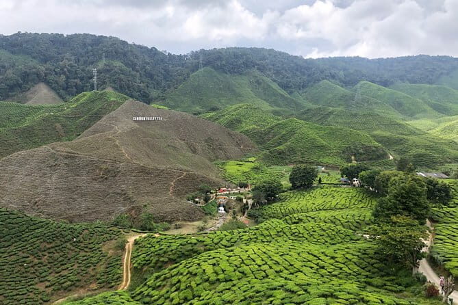 2 Days Cameron Highlands, Batu Caves & Kuala Selangor Fireflies Tour - Who Would Love This Tour?