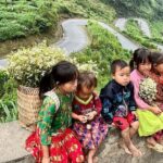 2 Days Ha Giang Loop Motorbike Tour through the Mountains - Who This Tour Is Perfect For