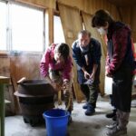2 Days Immersive Japanese Washi Paper Making in Kochi - Practical Considerations and Value