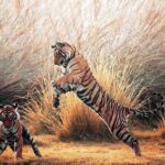 2 Days : Jhalana Leopards & Ranthambore Tiger Safari From Jaipur - The Experience: What It Feels Like