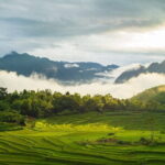 2 Days Mai Chau Classic Group Tour - Evening in Mai Chau: Local Dinner and Cultural Night