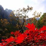 2-days: Mt Seorak, East Sea(Naksansa) & Nami or Ulsanbawi Hiking - Practical Details and What You Can Expect